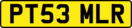 PT53MLR