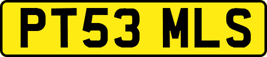 PT53MLS