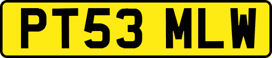 PT53MLW