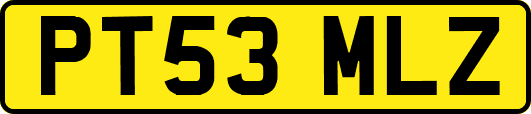 PT53MLZ