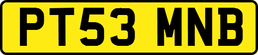 PT53MNB