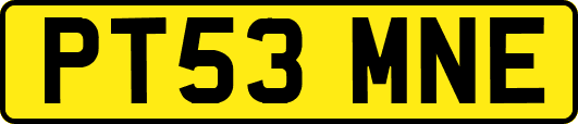 PT53MNE