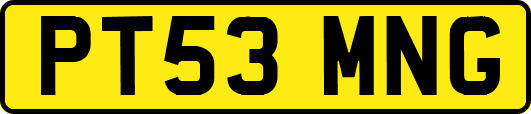 PT53MNG