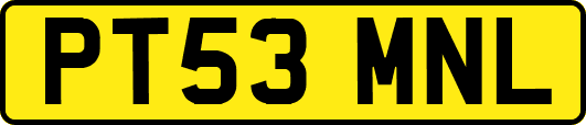 PT53MNL