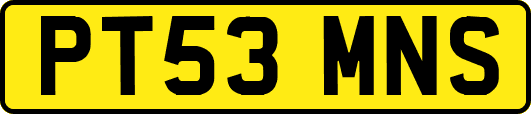 PT53MNS