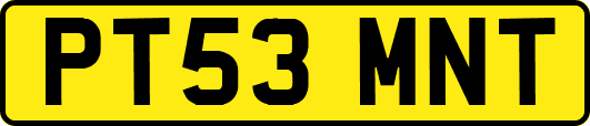 PT53MNT
