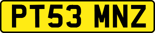 PT53MNZ