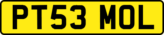 PT53MOL