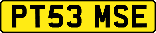 PT53MSE