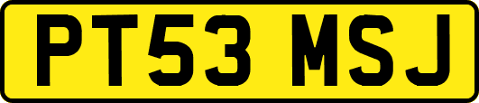 PT53MSJ