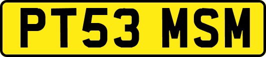 PT53MSM