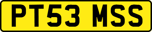 PT53MSS