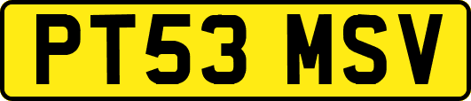 PT53MSV