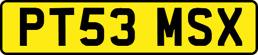 PT53MSX