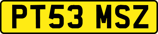 PT53MSZ