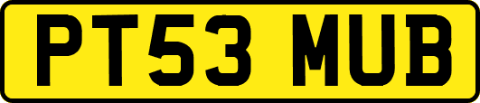 PT53MUB