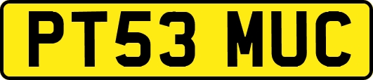 PT53MUC