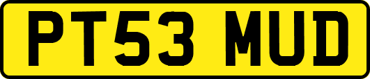 PT53MUD