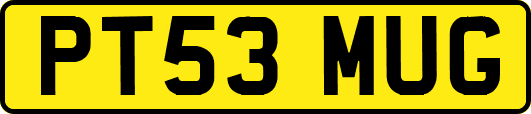 PT53MUG