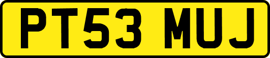 PT53MUJ