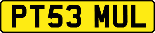 PT53MUL