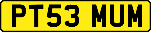 PT53MUM