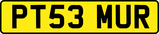 PT53MUR