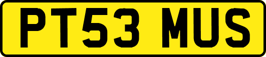 PT53MUS