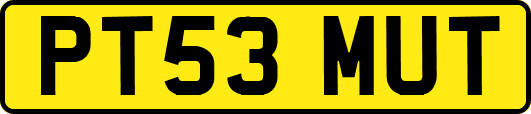 PT53MUT