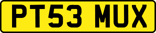 PT53MUX