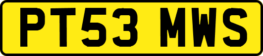 PT53MWS