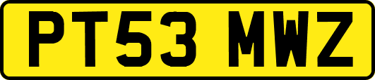 PT53MWZ