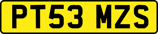 PT53MZS