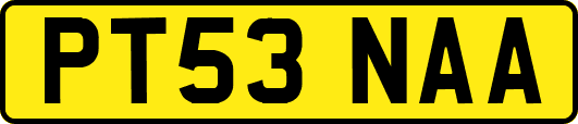 PT53NAA