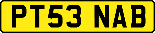 PT53NAB