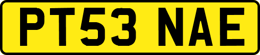 PT53NAE