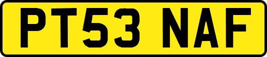 PT53NAF