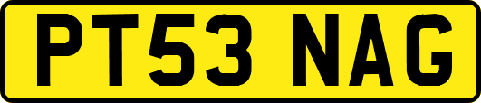 PT53NAG