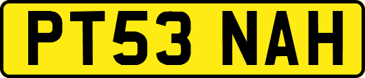 PT53NAH