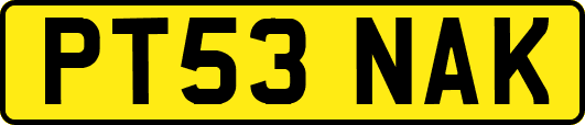 PT53NAK