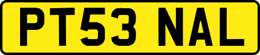 PT53NAL