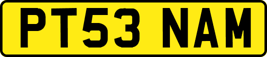 PT53NAM