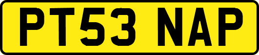 PT53NAP
