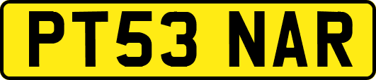 PT53NAR