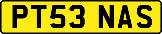 PT53NAS
