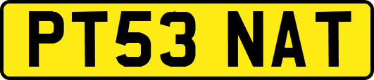 PT53NAT