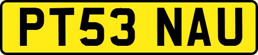 PT53NAU