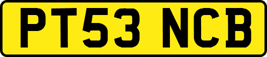 PT53NCB