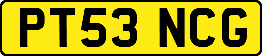 PT53NCG