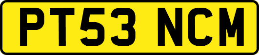 PT53NCM